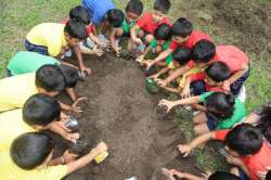 Earth Day Celebrations